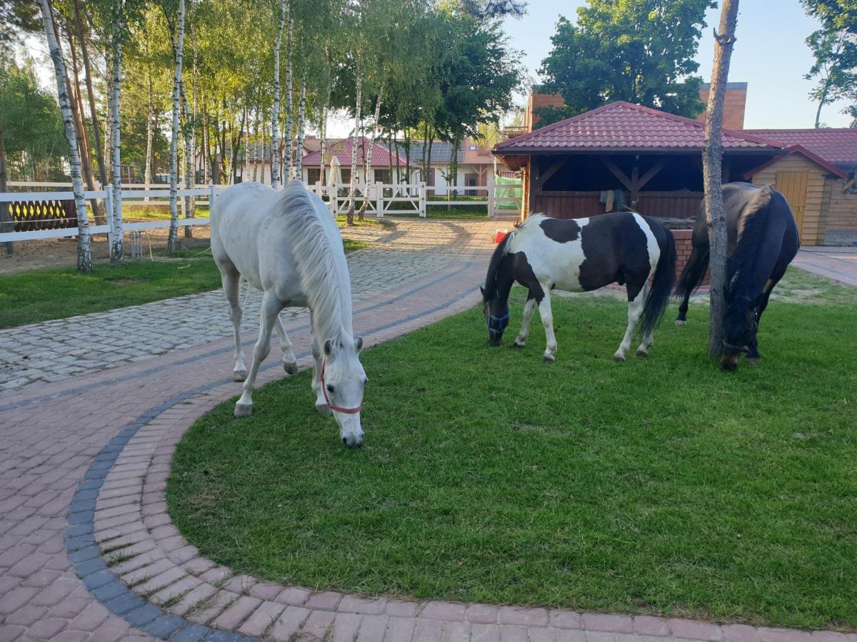 Вилла Osrodek Agroturystyczny Zacisze Giewartow Экстерьер фото