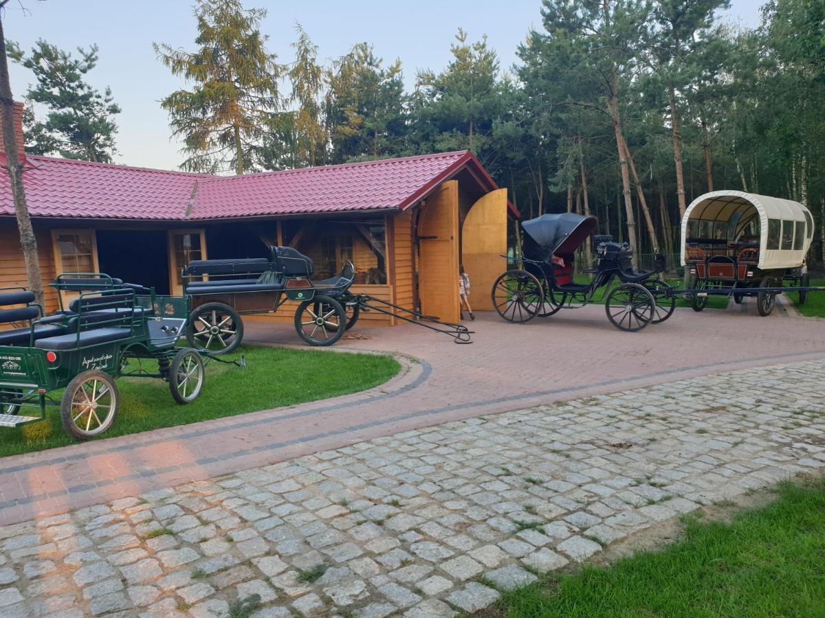 Вилла Osrodek Agroturystyczny Zacisze Giewartow Экстерьер фото